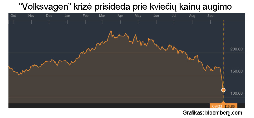 Vw-krize-foto-naujienlaiskiui